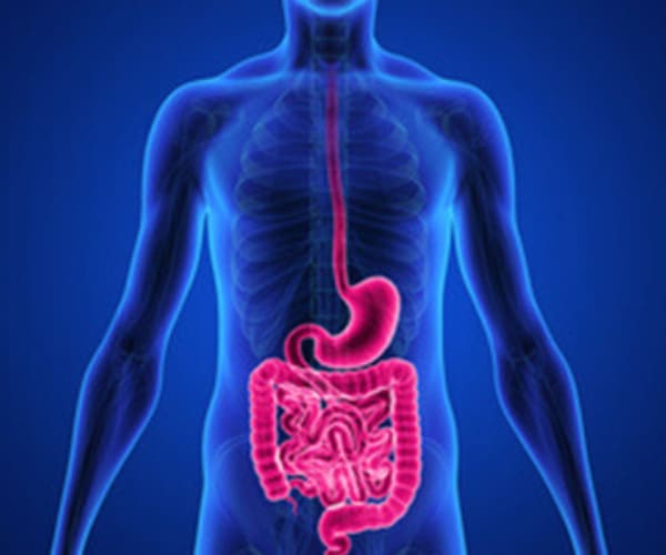 understanding gastroenterology your guide to digestive health